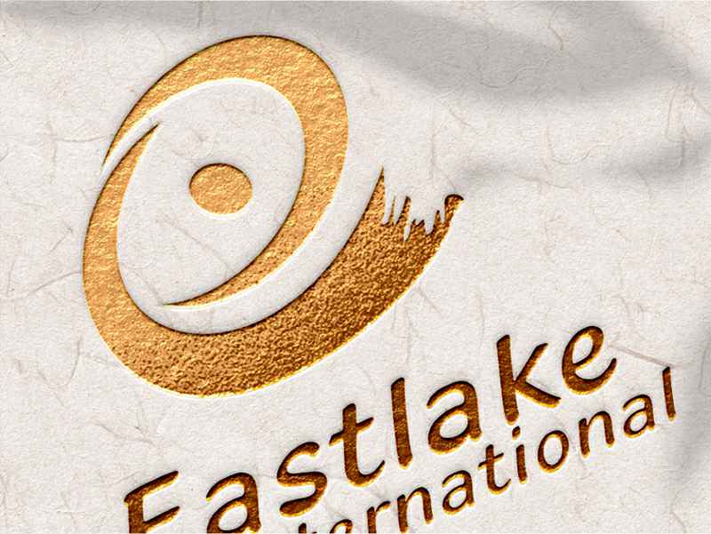 东湖国际——VIS系统设计